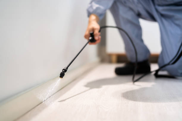 Licensed Pest Control service in Haltom City, TX - Show Me Pest Control